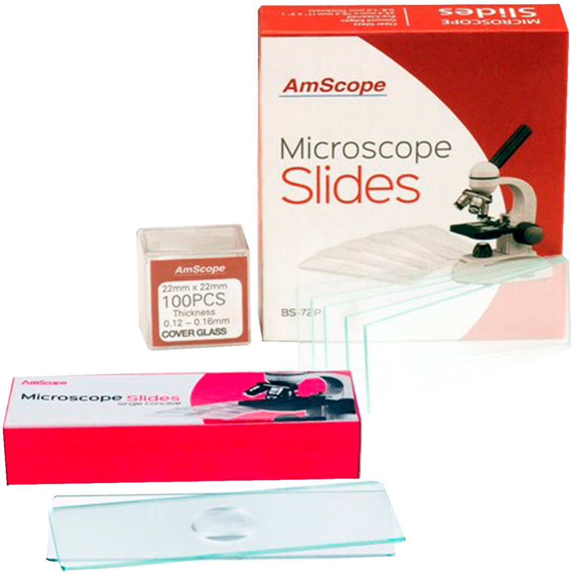 Lâminas de Microscopia AmScope com Depressão Simples