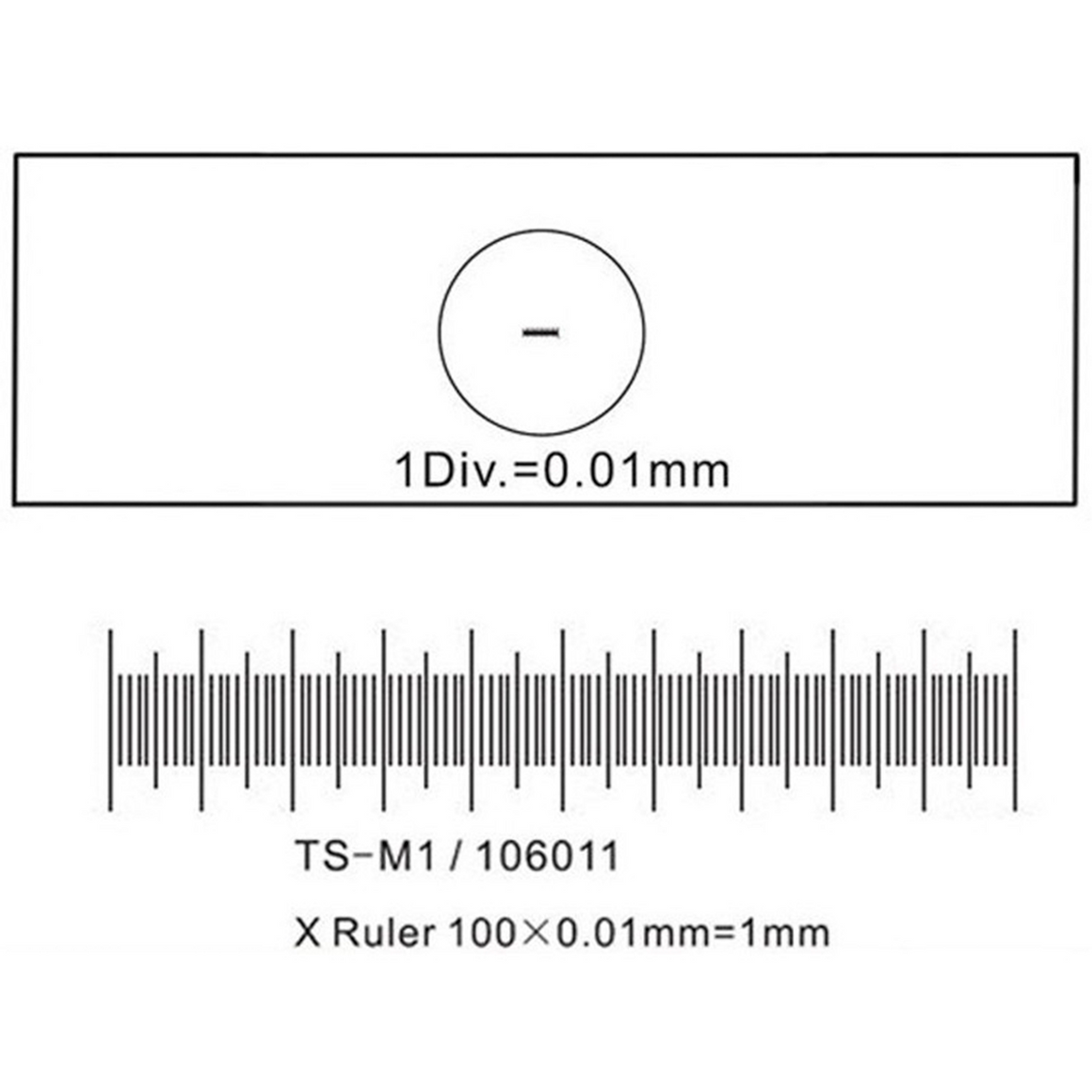 Lâmina Micrométrica de Calibração para Microscópios 0,01 mm