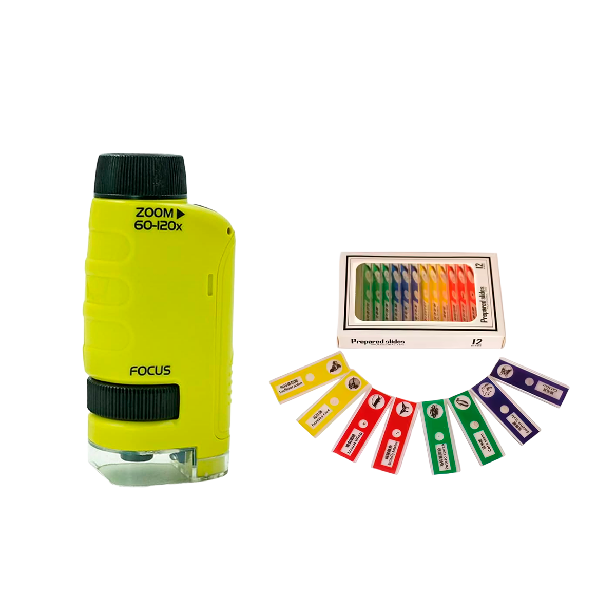 Microscópio de Bolso para Crianças: Brinquedo Científico Educativo com LED 60–120x (+6)