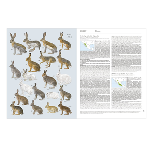 Handbook of the Mammals of the World – Volume 6: Lagomorphs and Rodents I