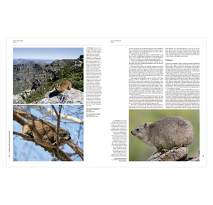 Handbook of the Mammals of the World. Vol 2: Hoofed Mammals