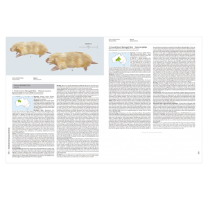 Handbook of the Mammals of the World. Vol.5: Monotremes and Marsupials
