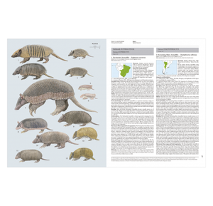 Handbook of the Mammals of the World. Vol.8: Insectivores, Sloths and Colugos