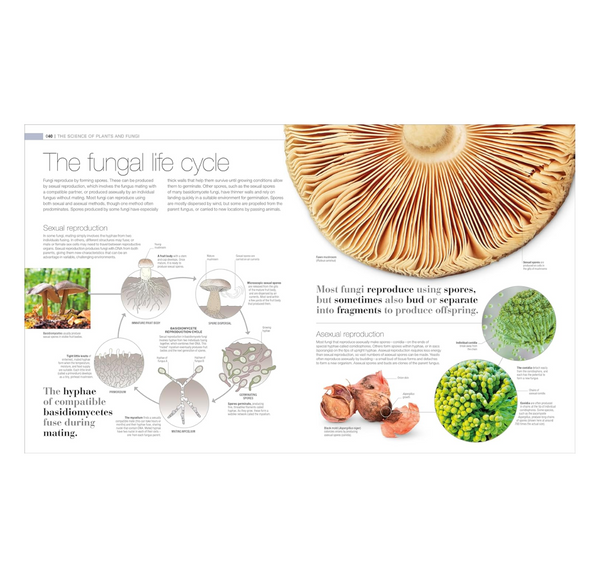 Bioweb Jensen Plants and Fungi: The Definitive Visual Encyclopedia - BIOWEB Brasil