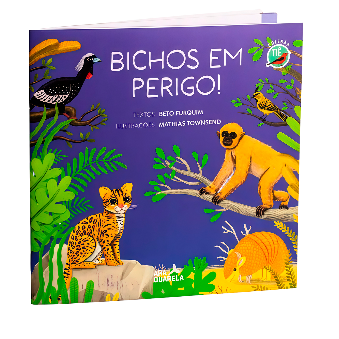 Livro e Jogo da Memória Bichos em Perigo 24 Peças (+3) 
