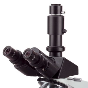 Microscópio Composto Trinocular AmScope até 40X-2500X ²⁵