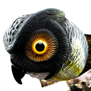 Repelente de Coruja Rondante Bird-X
