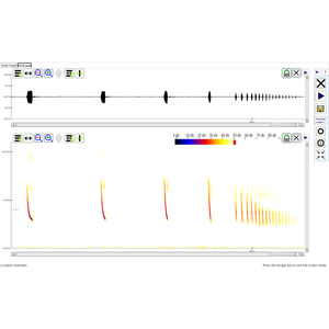 Software de gravação Petterson em Tempo Real BatSound Touch e Análise de Espectrograma