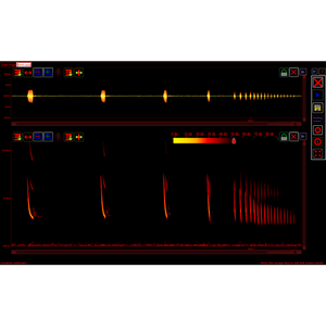 Software de gravação Petterson em Tempo Real BatSound Touch e Análise de Espectrograma