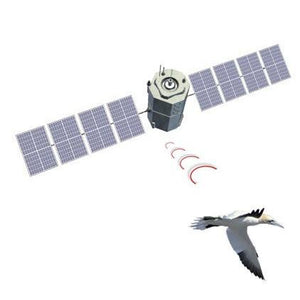Serviço de Transmissão de Dados Globalstar Sistema de Satélite