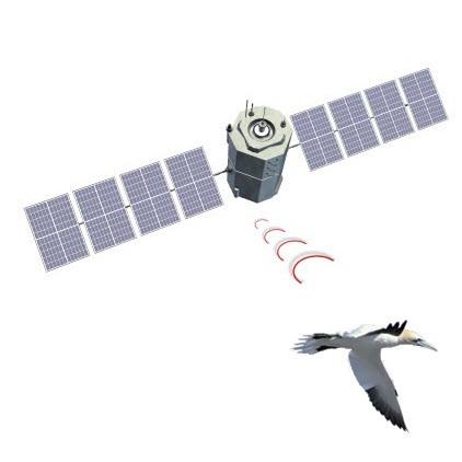 Serviço de Transmissão de Dados Globalstar Sistema de Satélite