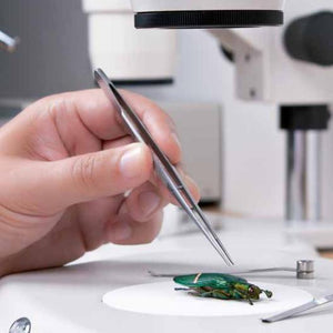 Microscópios Estéreos Motic SMZ-168 Trinocular