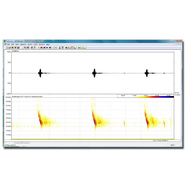 Software de Análise de Espectrograma Pettersson em Tempo Real BatSound